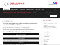 web-scouts.com Webseite Vorschau