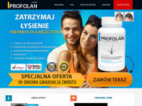 profolan.pl Webseite Vorschau