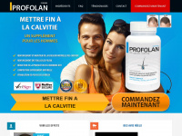 profolan.fr Webseite Vorschau