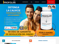profolan.es Webseite Vorschau