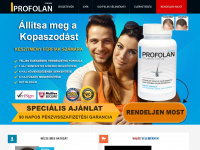 profolan.hu Webseite Vorschau