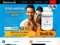 profolan.dk Webseite Vorschau