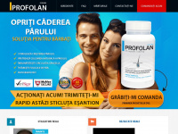 profolan.ro Webseite Vorschau