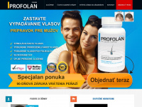 profolan.sk Webseite Vorschau