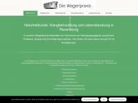 wagen-praxis.de Webseite Vorschau
