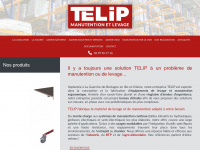 telip.fr Webseite Vorschau