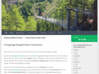 haengebruecken.com Webseite Vorschau