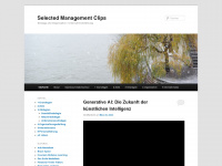selmanclips.com Webseite Vorschau