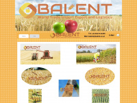 balent.co.at Webseite Vorschau