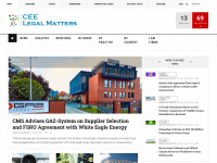 ceelegalmatters.com Webseite Vorschau