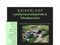 geispelhof.ch Webseite Vorschau