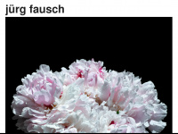 juergfausch.ch Webseite Vorschau