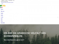 blafor.com Webseite Vorschau