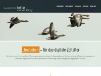 bilzconsulting.com Webseite Vorschau