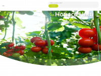 hotraco-horti.com Webseite Vorschau