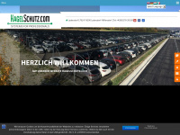 hagelschutz.com Webseite Vorschau