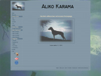 aliko-karama.de Webseite Vorschau