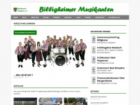 billigheimer-musikanten.de Webseite Vorschau