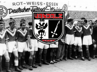 vandalz-ultras.de Webseite Vorschau