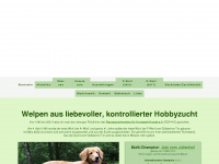 gueltsteiner-tor.net Webseite Vorschau