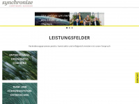 synchronize-consult.com Webseite Vorschau