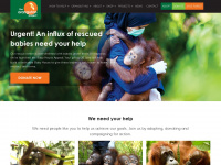 theorangutanproject.eu Webseite Vorschau