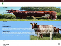 irishshorthorn.com Webseite Vorschau