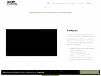 hydra-fieldwork.com Webseite Vorschau