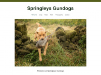 springleysgundogs.com Webseite Vorschau