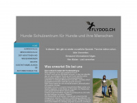 flydog.ch Webseite Vorschau