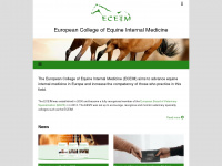 eceim.info Webseite Vorschau