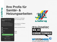haller-ag.ch Webseite Vorschau