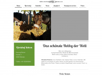 pferdehof-rehren.de Webseite Vorschau
