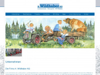 h-wildhaber.ch Webseite Vorschau