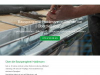 haldimann-bauspenglerei.ch Webseite Vorschau