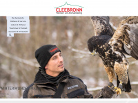 cleebronn.de Webseite Vorschau