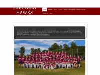 hawks.de Webseite Vorschau