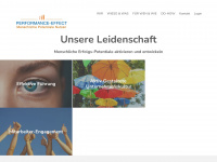 performance-effect.com Webseite Vorschau
