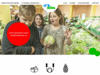 clubminu.ch Webseite Vorschau
