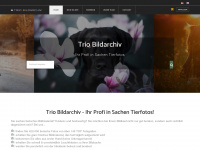 trio-bildarchiv.de Webseite Vorschau