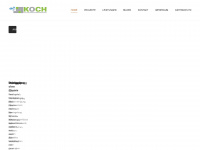 koch-pflasterreinigung.de Webseite Vorschau
