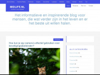 midlife.nl Webseite Vorschau