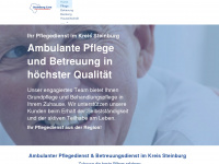 steinburg.care Webseite Vorschau