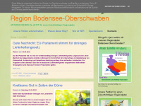 regionbodenseeoberschwaben.blogspot.com Webseite Vorschau