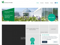 renewable-energy-management.ch Webseite Vorschau
