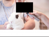 tierarztpraxis-miehle.de Webseite Vorschau
