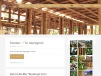 bamboo-age.com Webseite Vorschau