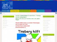 tinsbergerschule.de Webseite Vorschau