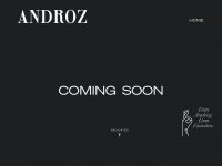 androz.at Webseite Vorschau