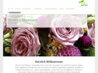 blumen-maessen-shop.de Webseite Vorschau